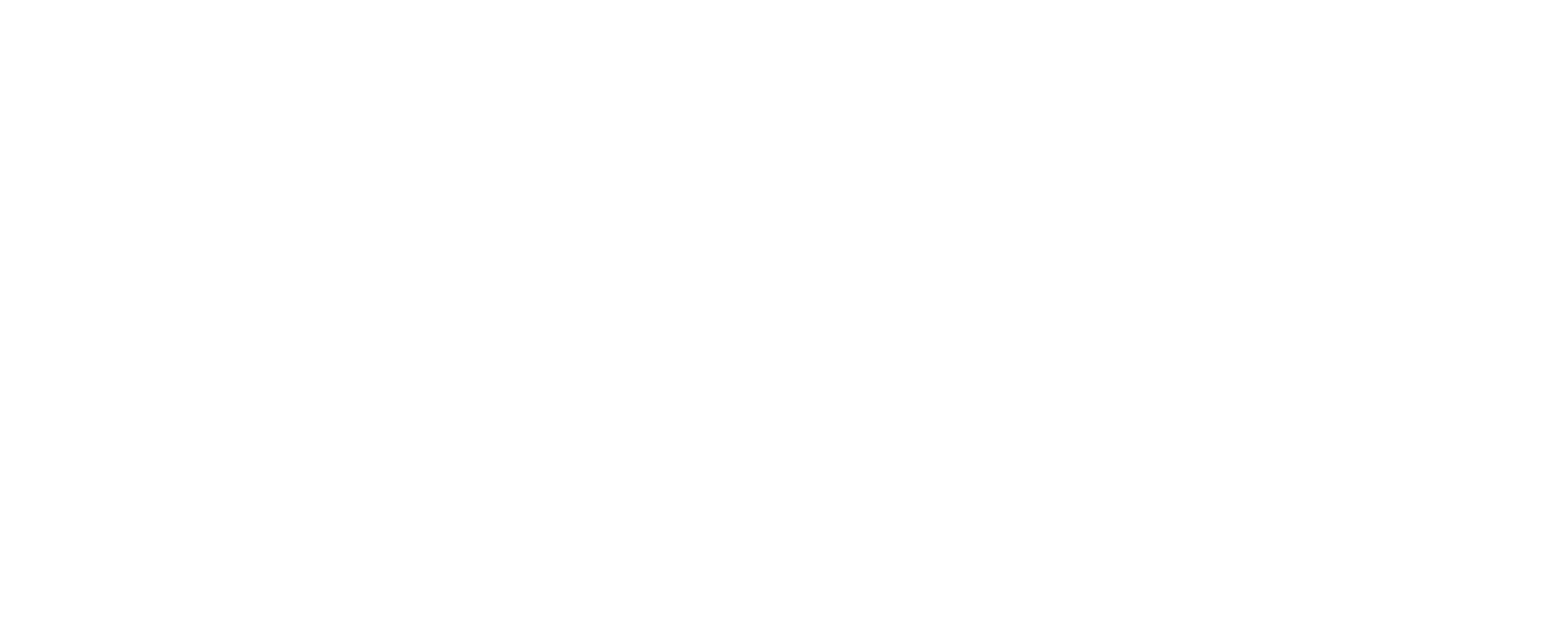 Counter-Fraud-Logo-2025-05