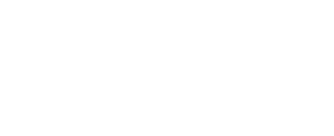 Counter Fraud 2025