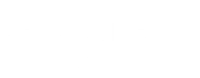 Counter Fraud 2024