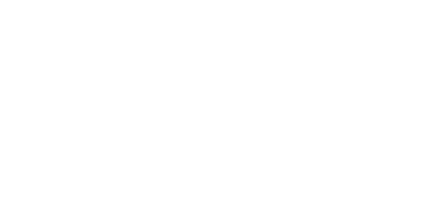 DigiGov VIP Application Form