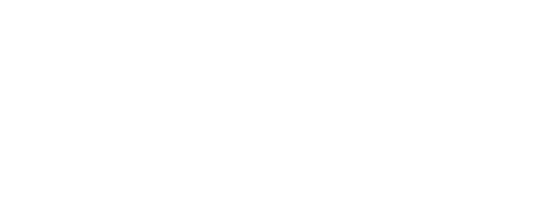 GovTech-2021-RGB-large-06