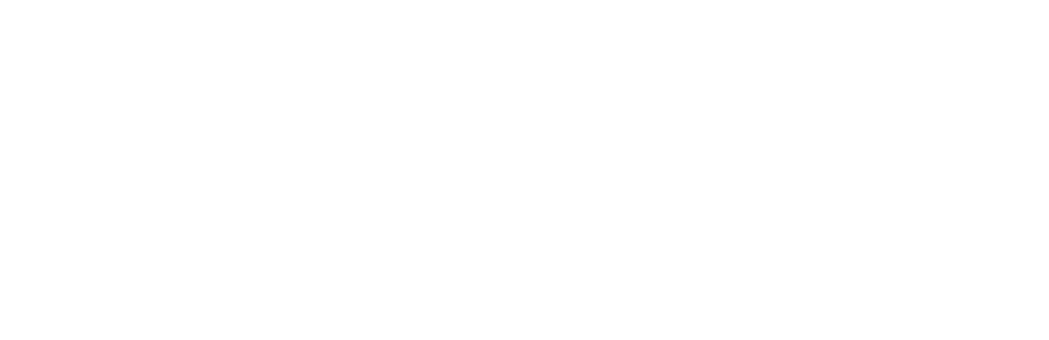Visa white logo Visa white logo